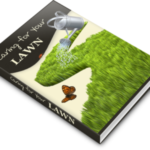 Caring for your lawn